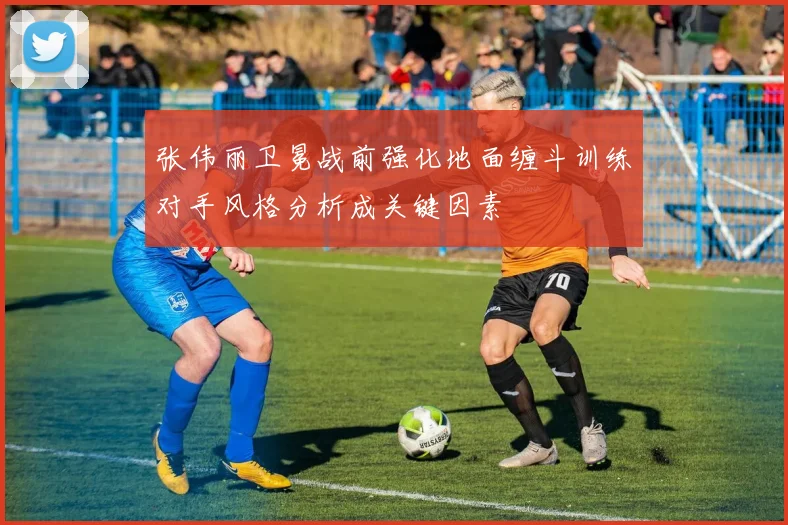 张伟丽卫冕战前强化地面缠斗训练对手风格分析成关键因素